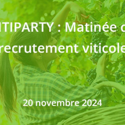 2024-vitiparty-novembre