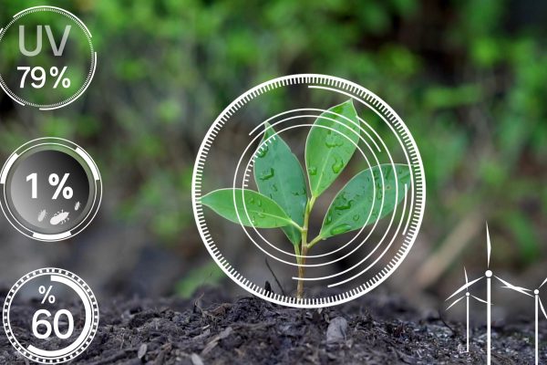 applications de l'intelligence artificielle dans la filière viti-vinicole